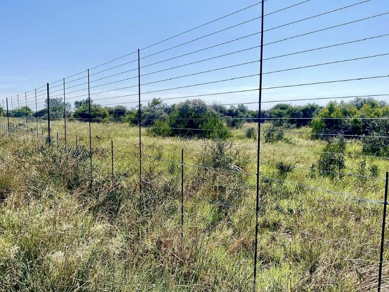 0 Bedroom Property for Sale in Reivilo Rural North West